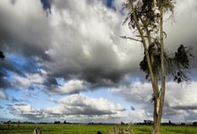 熊猫直播tv-帕尔梅拉斯攻防火力全开，防守迎挑战