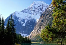 熊猫直播tv-帕尔梅拉斯攻防火力全开，防守迎挑战