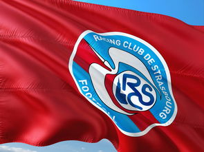 熊猫体育官方网站-帕尔梅拉斯战术调整显效，力争世俱杯更好名次